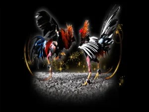 Bật Mí Cách Chơi Đá Gà Sabong Tại S666 Thắng Lớn Như Lão Làng