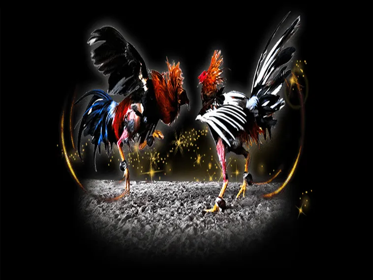 Bật Mí Cách Chơi Đá Gà Sabong Tại S666 Thắng Lớn Như Lão Làng 1 Bật Mí Cách Chơi Đá Gà Sabong Tại S666 Thắng Lớn Như Lão Làng